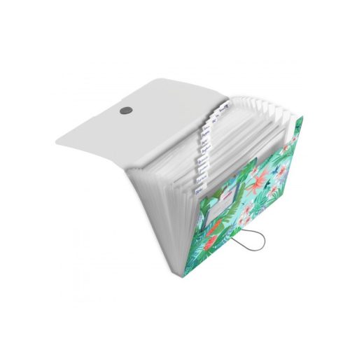 HERLITZ A/4 PP rekeszes mappa Ladylike Jungle