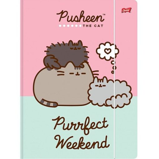 Pusheen gumis mappa A/4 