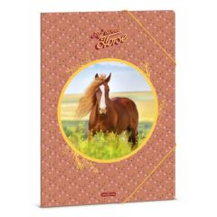 ARS UNA gumis mappa A/4 My Sweet Horse, Lovas